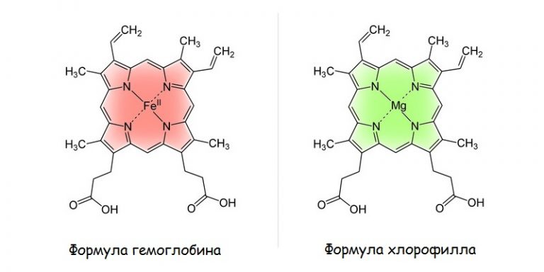 Ожог горячим антифризом